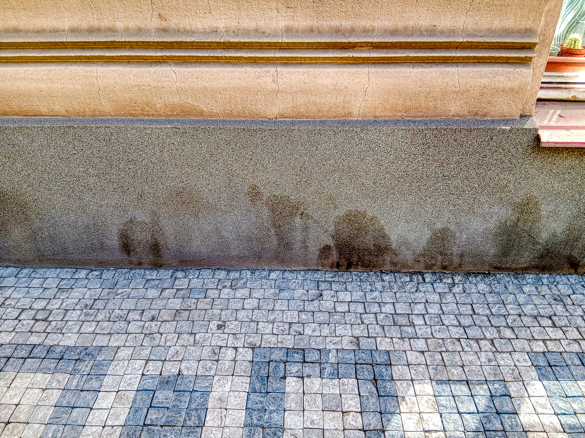 Čistý vchod po čištění Praha Holešovice